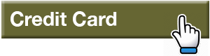 Credit Cards