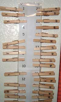Clothespin home