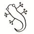 gecko
