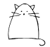 kitty