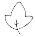 leaf