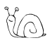 snail