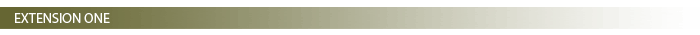 Extension One