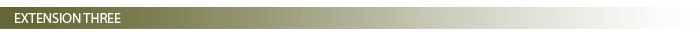 Extension Three
