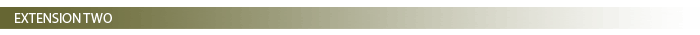 Extension Two